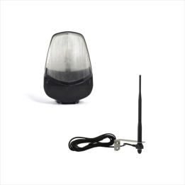 ANT02 + LUCE C (PK)