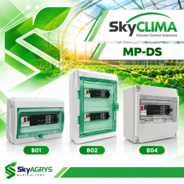 MP-DS [Auto+Manual](Windows)
