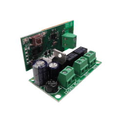TIRXE - 2 Canal,RXGME, Globmatic,globmatic, 2 canal, 2 channel